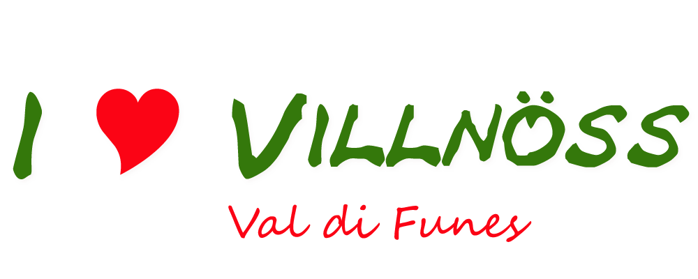 Villnöss